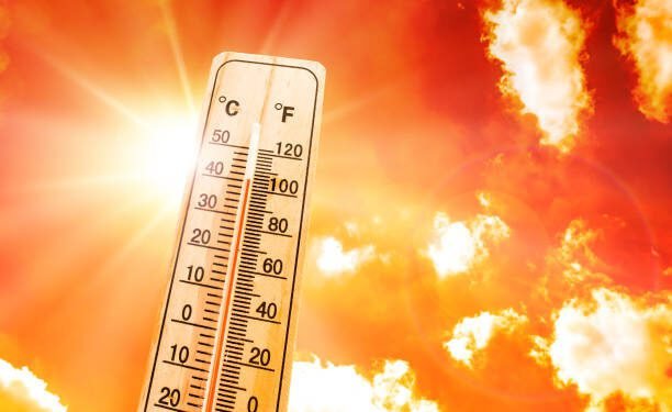 The human cost of 2025 heat wave in India
