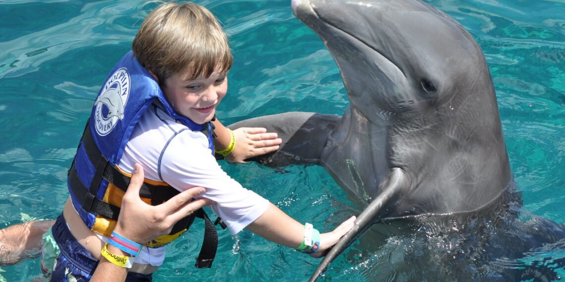 Dolphin Friends