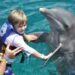Dolphin Friends