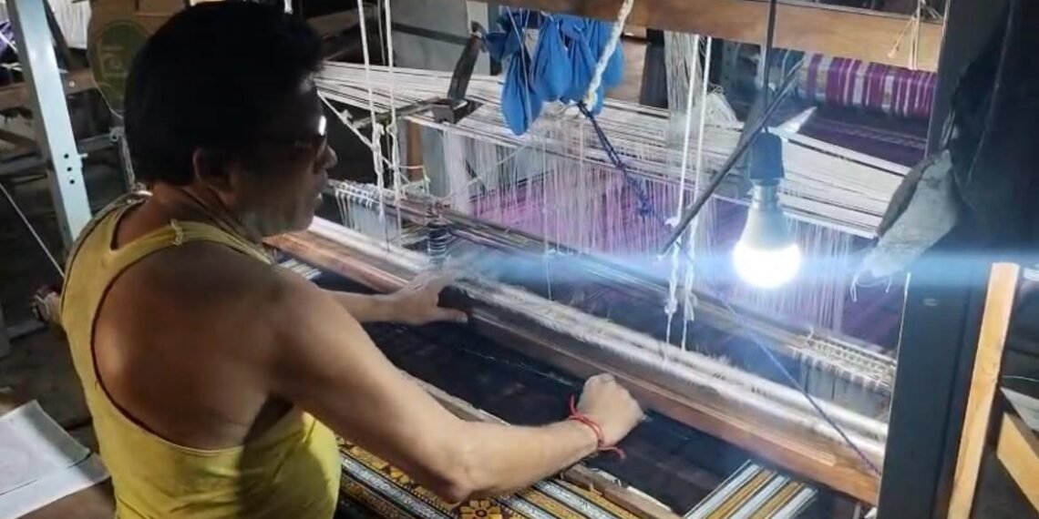 Bhulia weaver creating Habaspuri saree on traditional wooden loom in Chicheiguda village Odisha