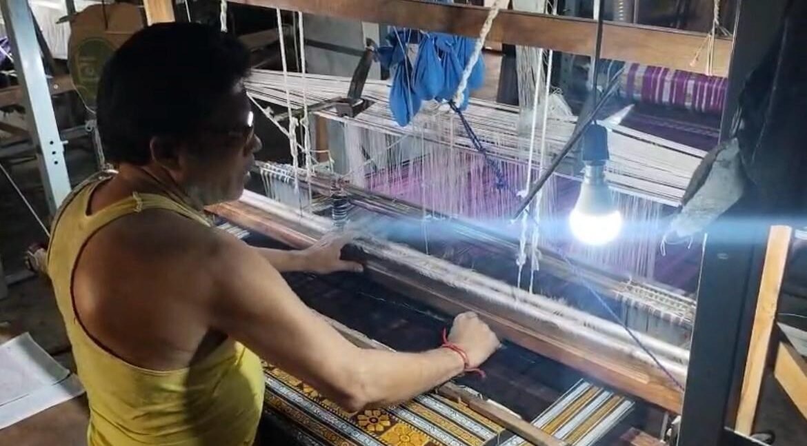 Bhulia weaver creating Habaspuri saree on traditional wooden loom in Chicheiguda village Odisha